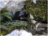 Planina Ravne - Kapelica na Molički planini